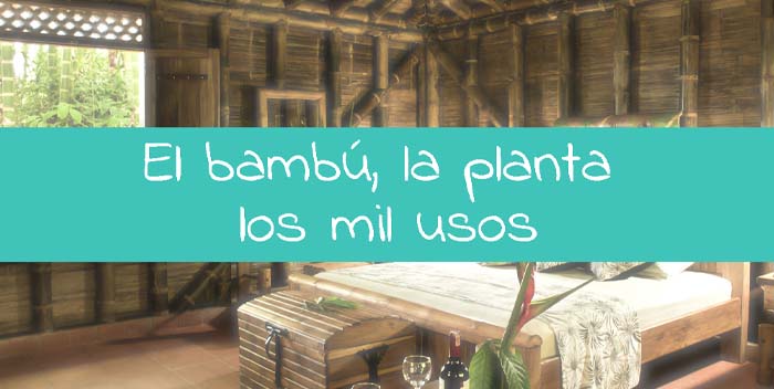 bambu la planta de los mil usos le petit BAOBAB - ¿Cuáles Son Las Ventajas De Los Tejidos De Bambú?