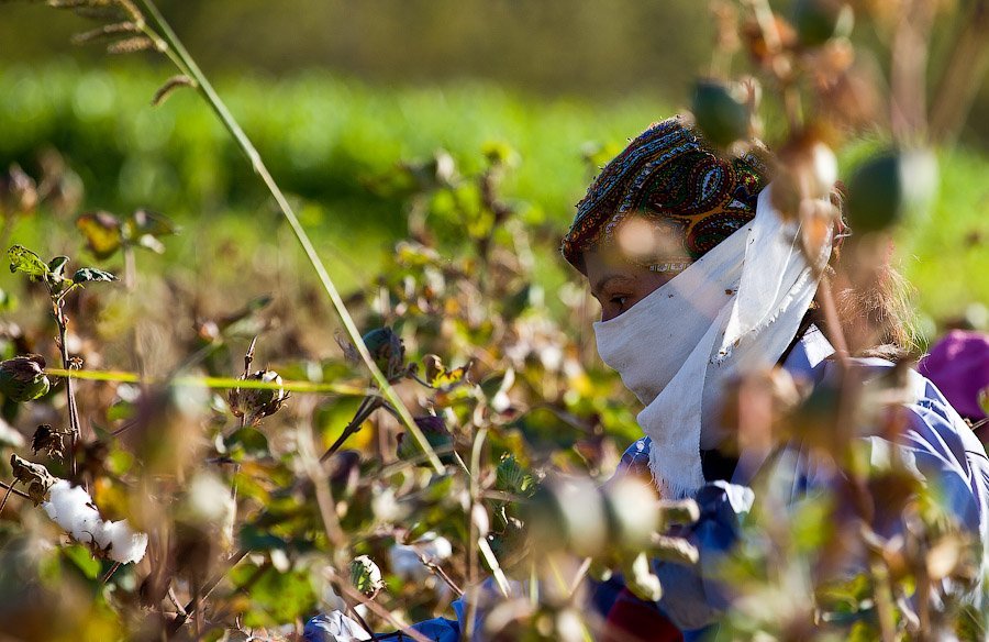 11 1 - La esclavitud infantil en la industria del algodón en Uzbekistán