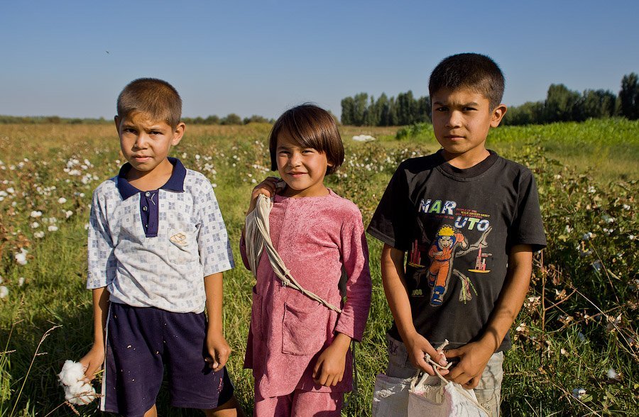 18 2 - La esclavitud infantil en la industria del algodón en Uzbekistán