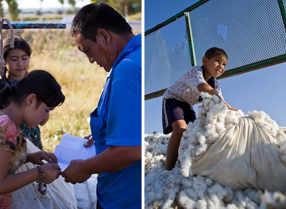 25 1 - La esclavitud infantil en la industria del algodón en Uzbekistán