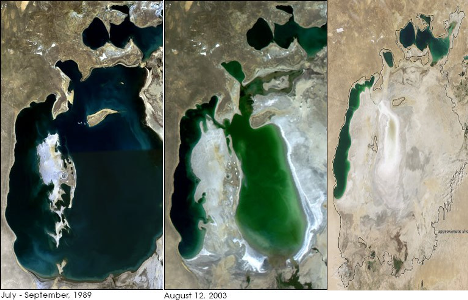 Aral 1 - Algodón orgánico, un compromiso social y medio ambiental
