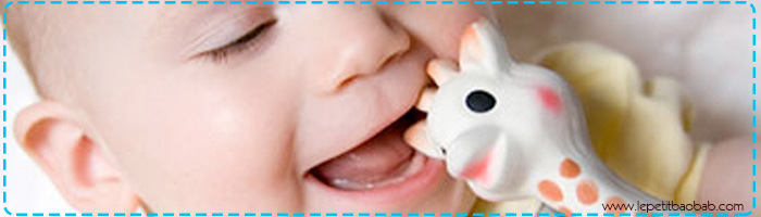 sophie la jirafa banner2 - Sophie la Jirafa, el juguete 100% orgánico que estimula a tu bebé desde el primer día y calma sus encías