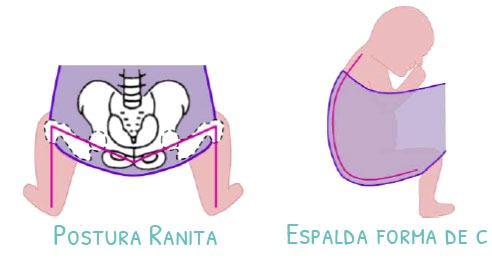 posicion-ergonomica-portabebes-postura-ranita